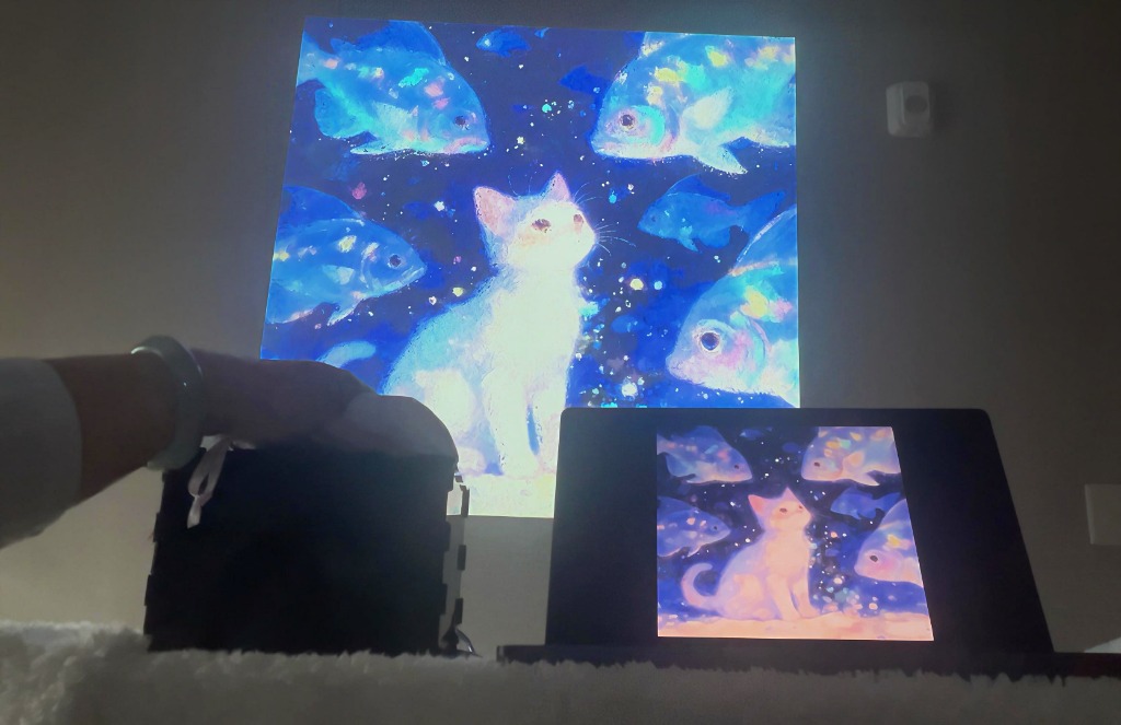Multisensory Cat Projection